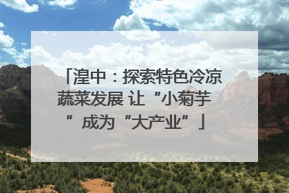 湟中：探索特色冷凉蔬菜发展 让“小菊芋”成为“大产业”